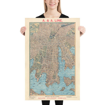 Old Map of Sydney 1902 by John Andrew - Coves Bays, Harbours, Port Jackson, Central Station, Botanic Garden