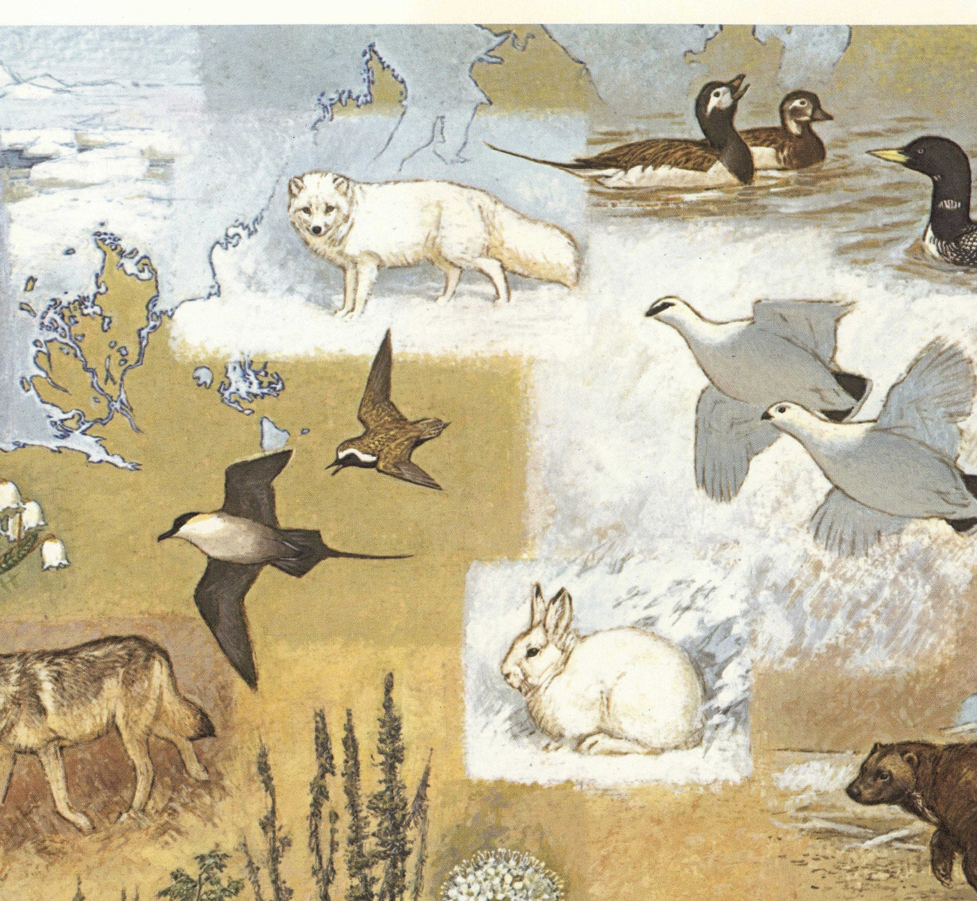 Mapa antiguo de Alaska por WD Berry, 1967 - Eskimos, Inuits & Animals - Anchorage, Yukon, Denali / McKinley
