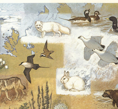 Mapa antiguo de Alaska por WD Berry, 1967 - Eskimos, Inuits & Animals - Anchorage, Yukon, Denali / McKinley