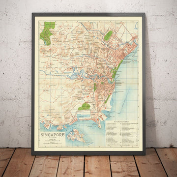 Rare Old Map of Singapore, 1917 - British Empire Colony, Pulau Ujong, Botanic Gardens, Marina, Bay