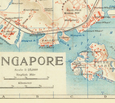 Rare ancienne carte de Singapour, 1917 - Colonie d'empire britannique, Pulau Ujong, Jardins botaniques, Marina, Bay