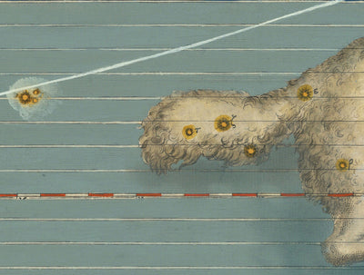 Old Star Map of Aries, 1603 par Johann Bayer - Zodiac Astrology Chart & Horoscope Sign