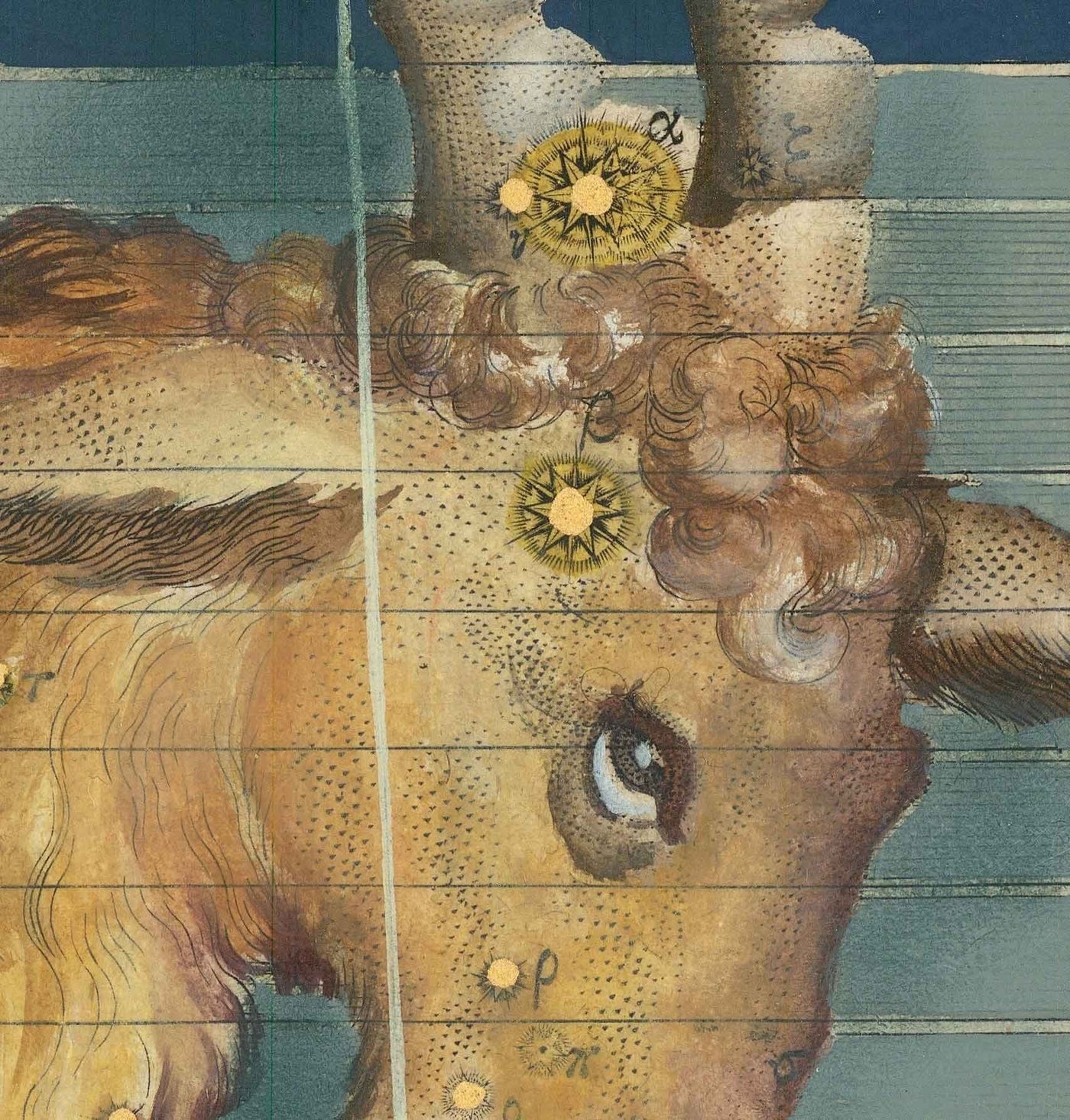 Old Star Map of Capricorn, 1603 by Johann Bayer - Zodiac Astrology Chart & Horoscope Sign