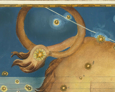 Old Star Map of Leo, 1603 by Johann Bayer - Zodiac Astrology Chart - The Lion Horoscope Sign