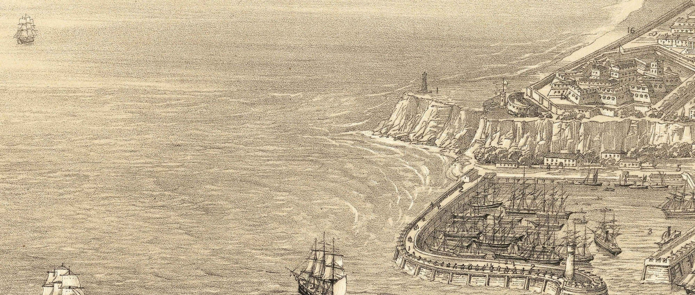 Old Map of Odessa, Ukraine, 1855 - Black Sea Harbour Town - Forts, Citadel, Centre-ville - illustration des oiseaux d'oiseaux