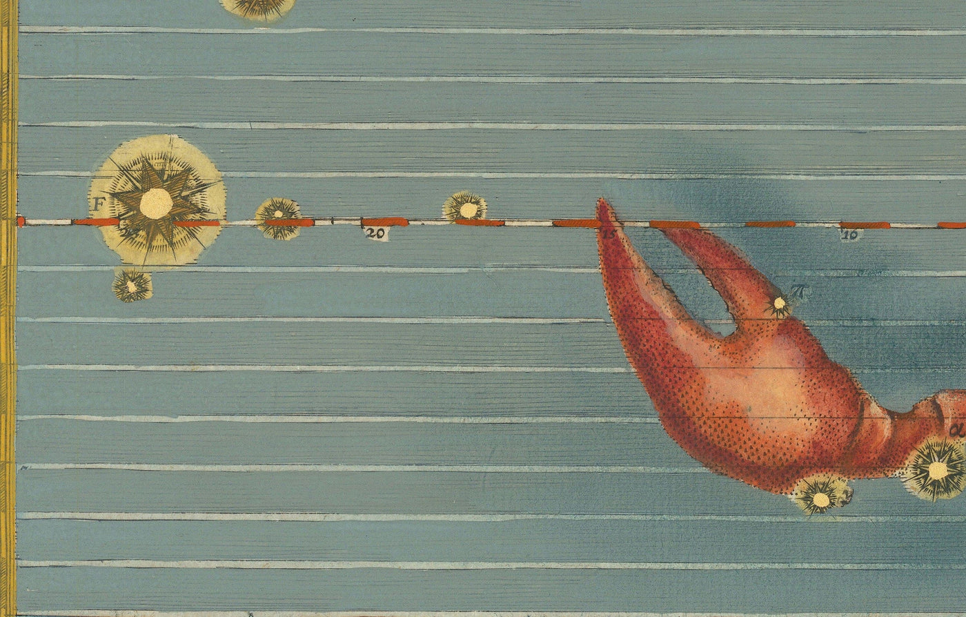Antiguo mapa estelar de Cáncer, 1603 por Johann Bayer - Carta astrológica del zodiaco - El signo del horóscopo del Cangrejo