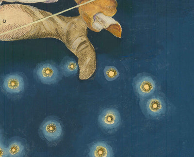 Old Star Map of Aquarius, 1603 par Johann Bayer - Zodiac Astrology Chart - The Water Carrier Horoscope Sign