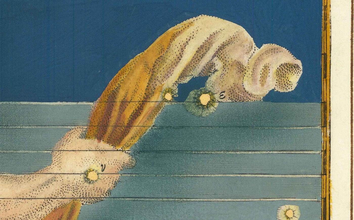 Old Star Map of Aquarius, 1603 par Johann Bayer - Zodiac Astrology Chart - The Water Carrier Horoscope Sign