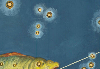 Old Star Map of Pisces, 1603 by Johann Bayer - Zodiac Astrology Chart - The Fish Horoscope Sign