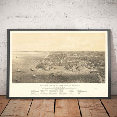 Old Map of Odessa, Ukraine, 1855 - Black Sea Harbour Town - Forts, Citadel, Centre-ville - illustration des oiseaux d'oiseaux