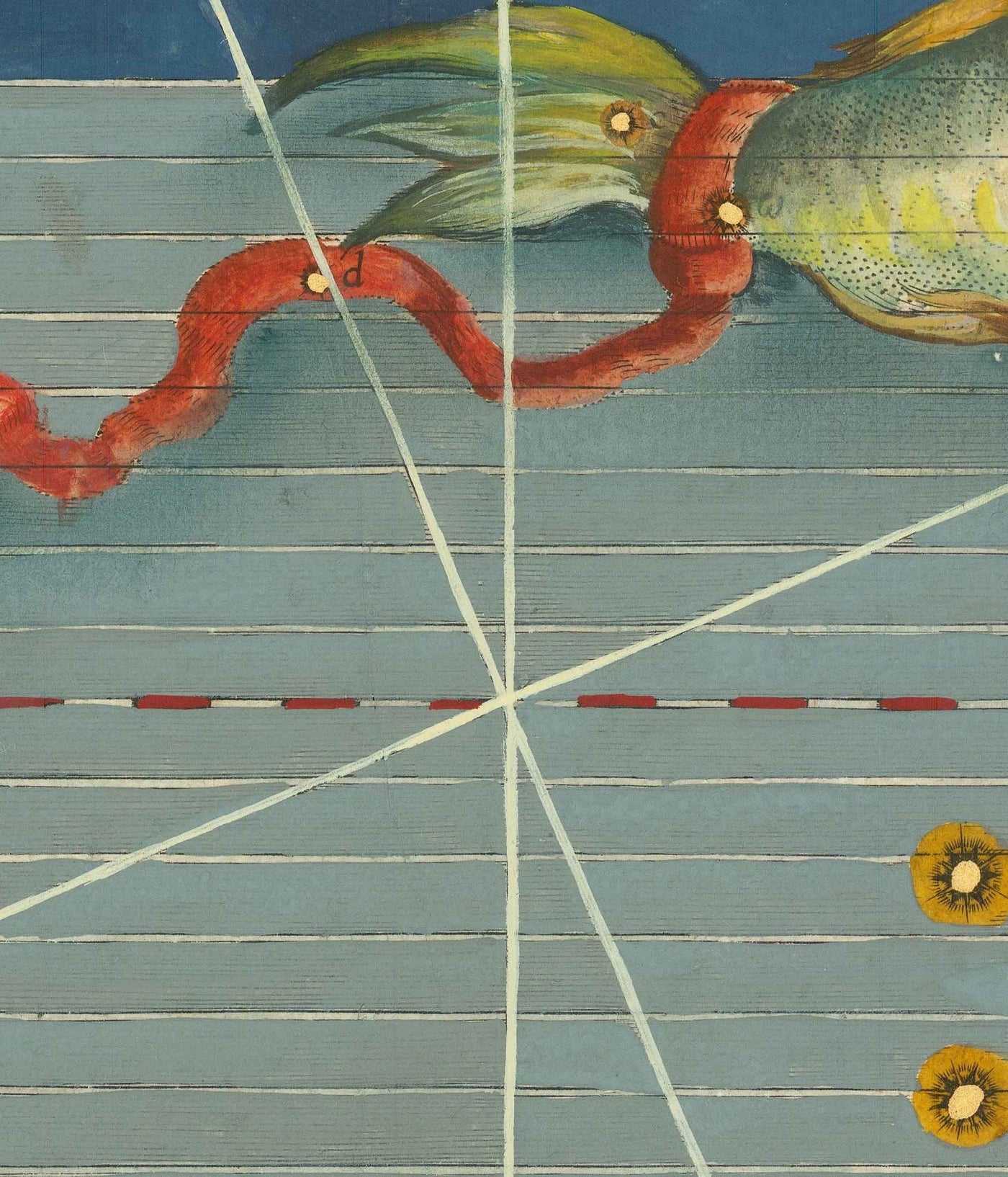 Old Star Map of Pisces, 1603 by Johann Bayer - Zodiac Astrology Chart - The Fish Horoscope Sign
