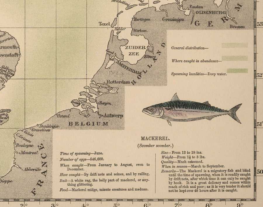 Mappa del Pesce Sgombro del Mare del Nord, 1883 di O.T. Olsen - Pesca dello Sgombro, Distribuzione, Riproduzione, ecc. 