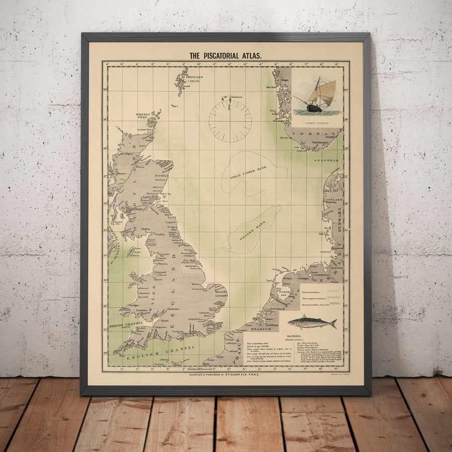Mappa del Pesce Sgombro del Mare del Nord, 1883 di O.T. Olsen - Pesca dello Sgombro, Distribuzione, Riproduzione, ecc. 