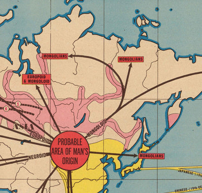 Old Map of Mass Migrations of Mankind, 1944 by Edwin Sundberg - Out of Asia Origin Theory, Slave Trade, Prehistoric Civilisation