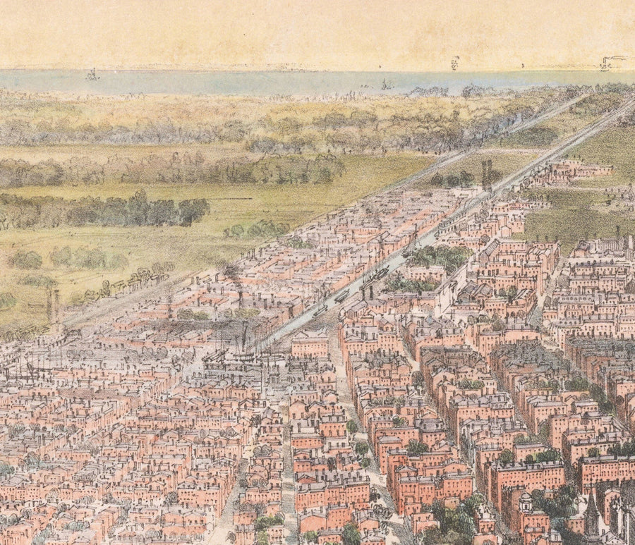 Vecchia mappa Birds Eye di New Orleans nel 1851 - Quartiere Francese, CBD, Treme, fiume Mississippi, Cattedrale di St Louis, Jackson Square 