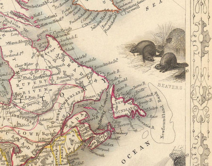 Mappa antica del Nord America, 1851 di Tallis & Rapkin - USA, Canada, Messico, Eschimesi, Castori, Nativi illustrati 
