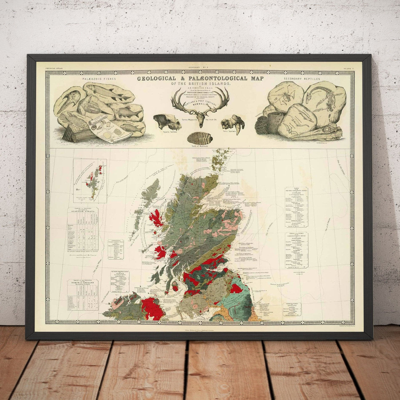 Ancienne carte géologique et paléontologique de l'Écosse, 1854, par A.K. Johnston et Edward Forbes - Rare Fossil Wall Chart