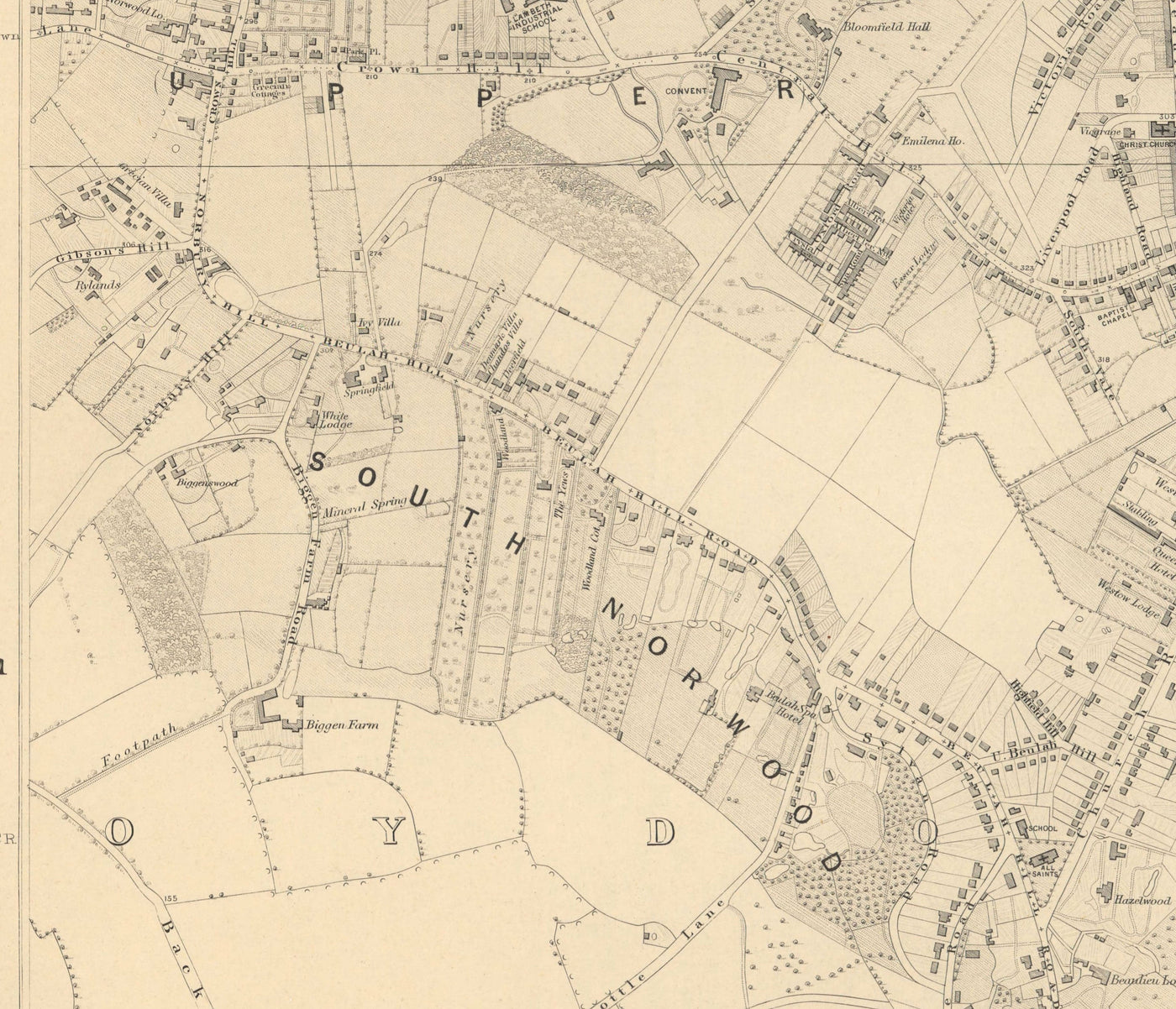 Old Map of South East London, 1862 by Edward Stanford - Norwood, Crystal Palace, Penge, Sydenham - SE27, SE19, SE20, SE26