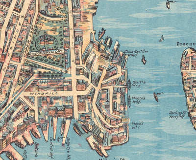 Old Map of Sydney 1902 by John Andrew - Coves Bays, Harbours, Port Jackson, Central Station, Botanic Garden
