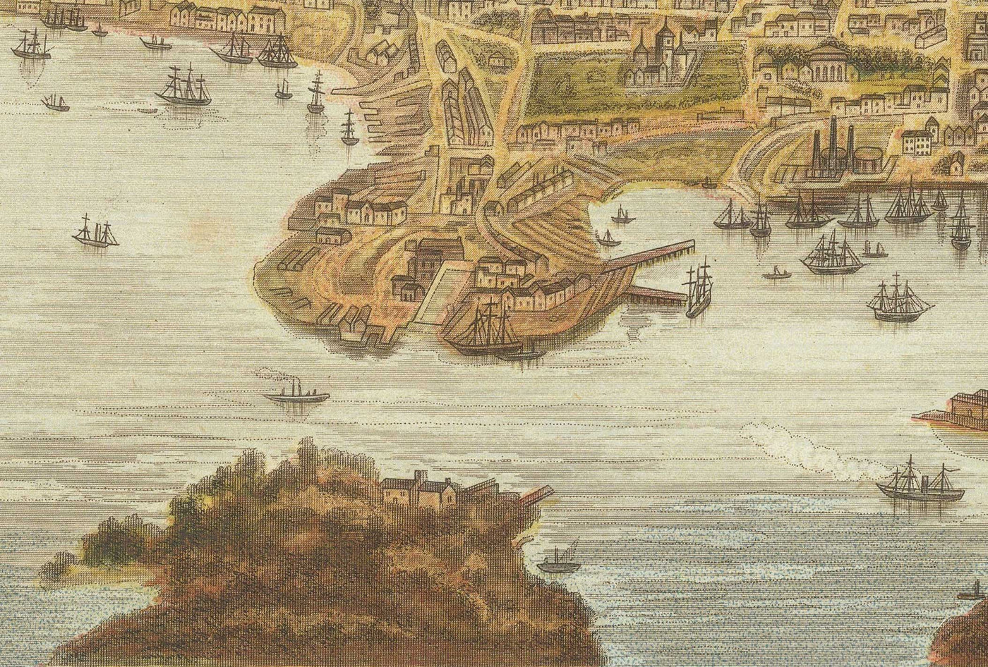Old Bird Eye's View of Sydney in 1875 by William Collins - New South Wales, St George, Sutherland Shire, South, Inner West