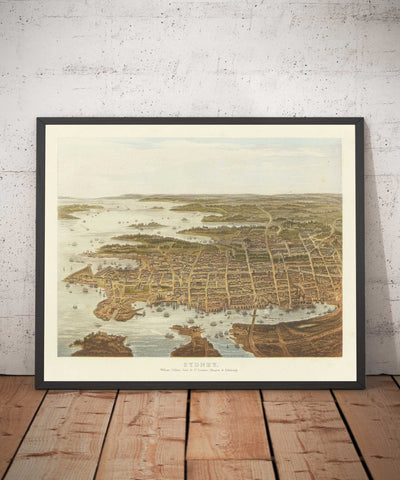 Old Bird Eye's View of Sydney in 1875 by William Collins - New South Wales, St George, Sutherland Shire, South, Inner West