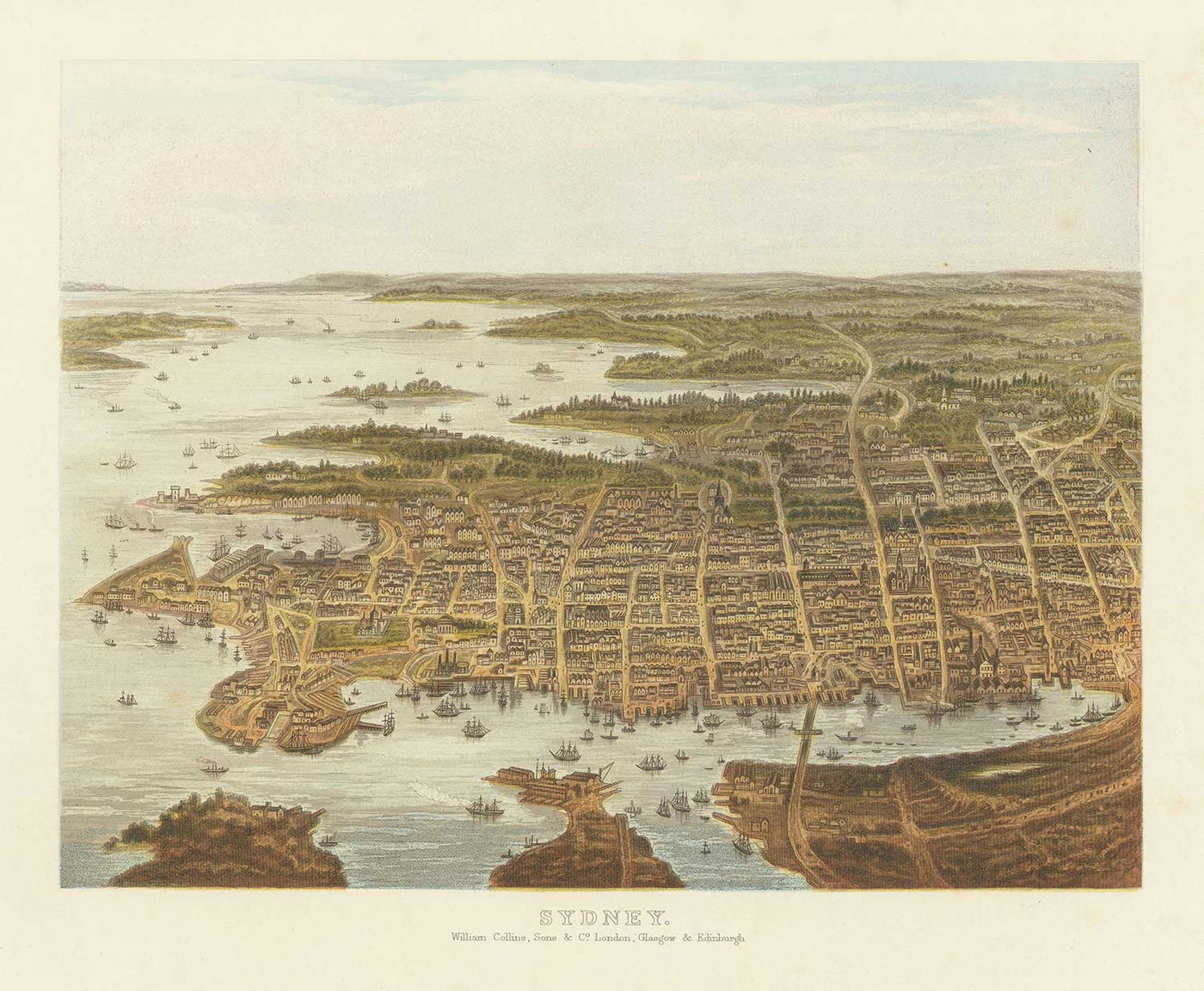 Old Bird Eye's View of Sydney in 1875 by William Collins - New South Wales, St George, Sutherland Shire, South, Inner West