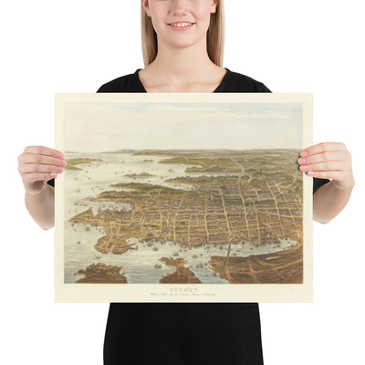 Old Bird Eye's View of Sydney in 1875 by William Collins - New South Wales, St George, Sutherland Shire, South, Inner West