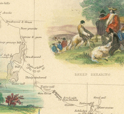 Mapa antiguo de Australia Occidental, 1851 por Tallis & Rapkin - Colonia Británica del Río Swan, Perth, Peel, Bunbury, Fremantle